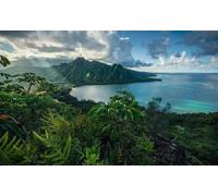 Komar SHX9-117 Poster, Île de Jurassic, 450cm x 280cm