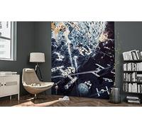 Komar Star Wars Classic Dogfight 012-DVD2 Papier peint photo non tissé 2 bandes avec colle Multicolore 200 x 275 cm