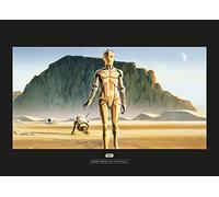 Komar Star Wars Classic RMQ Droids - Taille : 70 x 50 cm Tableau mural (sans cadre)