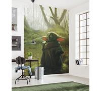 Komar Star Wars Papier Peint Photo XXL 78x110 Pouces Mandalorian Grogu Vert