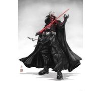 Komar Star Wars Vision Samurai Dark Lord Tableau mural pour chambre d'enfant 50 x 70 cm