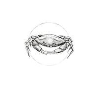 Komar Tableau blanc Crab - Taille : 50 x 70 cm Image murale (sans cadre) - Pure Boutique