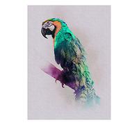 Komar Tableau mural | Animals Paradise Parrot | Affiche, image, salon, chambre à coucher, décoration, impression d'art | sans cadre | P083B-30x40 | Taille: 30x40cm (largeur x hauteur)