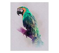 Komar Tableau mural | Animaux Paradis Perroquet | Poster Image Salon Chambre Décoration Art Print | Sans Cadre | P083B-40x50 | Dimensions : 40 x 50 cm (largeur x hauteur)
