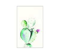 Komar Tableau Mural Aquarelle en Forme de Figue de barbarie - Impression d'art sans Cadre - P070A-50 x 70 cm - Dimensions : 50 x 70 cm (l x H)