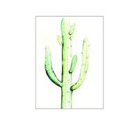 Komar Tableau Mural | Aquarelle Saguaro | Poster Photo pour Salon, Chambre à Coucher, décoration Artistique | sans Cadre | P070B-40 x 50 | Dimensions : 40 x 50 cm (Largeur x Hauteur)