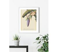 Komar Tableau mural Banana Heart - Dimensions : 50 x 70 cm - Poster - Impression d'art - Décoration de salon, chambre à coucher (sans cadre)