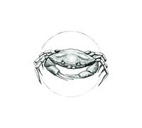 Komar Tableau Mural Blanc Crabe - Impression d'art sans Cadre - P080A-30 x 40 cm - Dimensions : 30 x 40 cm (l x H)