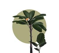 Komar Tableau mural - Botanical Garden Palmtree - Dimensions : 30 x 40 cm - Poster - Décoration pour salon, chambre à coucher