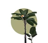 Komar Tableau mural - Botanical Garden Palmtree - Dimensions : 50 x 70 cm - Décoration murale pour salon, chambre à coucher