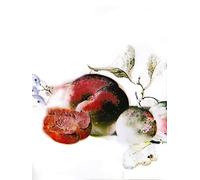 Komar Tableau mural - Dessert Fruité - 30 x 40 cm - Poster - Décoration - Salon - Chambre