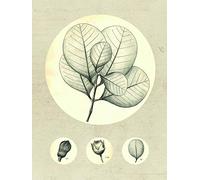 Komar Tableau Mural en Forme de Feuilles Transparentes | Poster | Image de Salon, Chambre à Coucher, décoration | Disponible en Trois Tailles, Beage, Weiß, Schwarz, P053-30x40