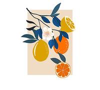Komar Tableau mural - Illustration Finest Fruits - Dimensions : 50 x 70 cm - Poster - Décoration pour salon, chambre à coucher