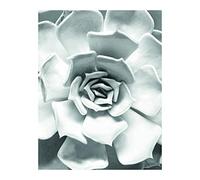 Komar Tableau Mural - Impression sur Toile - sans Cadre - P049C-40 x 50 cm - Dimensions : 40 x 50 cm (l x H)