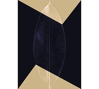 Komar Tableau mural Lotus Theatre - Dimensions : 50 x 70 cm - Poster - Décoration pour salon, chambre à coucher