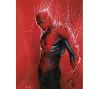 Komar Tableau Mural Marvel Spider-Man Through the Spider Web - Taille 30x40cm - Poster Chambre d'enfant Décoration - Roulé sans Cadre - Rouge