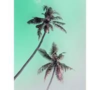 Komar Tableau Mural | Miami Palms | Poster | Image | pour Salon, Chambre à Coucher, décoration | sans Cadre | P115-40x50 | Dimensions : 40 x 50 cm (Largeur x Hauteur)