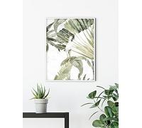 Komar Tableau mural Oiseau Cacadoo - Dimensions : 30 x 40 cm - Poster d'art Décoration Salon Chambre (sans cadre)