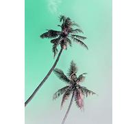 Komar Tableau Mural | Palms de Miami | Poster Image pour Salon, Chambre à Coucher, décoration Artistique | sans Cadre | P115-50x70 | Dimensions : 50 x 70 cm (Largeur x Hauteur)