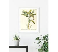 Komar Tableau mural - Rainforest Sapling - Dimensions : 40 x 50 cm - Affiche d'art - Décoration de salon - Chambre (sans cadre)