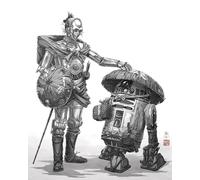 Komar Tableau mural Star Wars Vision Samurai Droids - Taille 40 x 50 cm - Décoration murale pour chambre d'enfant