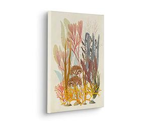 Komar Tableau sur châssis dans un cadre en bois véritable - Coral Aqua - Dimensions : 30 x 40 cm - Impression murale, décoration murale, design, salon, chambre à coucher