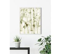 Komar Wild Bamboo - Dimensions : 50 x 70 cm - Poster - Impression d'art - Décoration de salon, chambre à coucher (sans cadre)