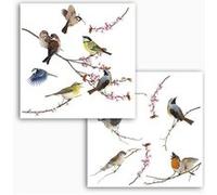 'Komar Window Stickers pour"Birds, 1 pièce, multicolore, 16003 Multicolore G