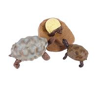 KOMBIUDA 1ensemble Figurines Tortue Éducatives Pour Modèles De Cycle De Vie Naturel Jouet Cognitif Amusant Et Pratique Pour Apprentissage Des Animaux