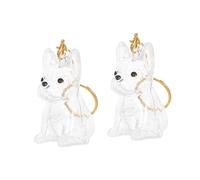KOMBIUDA 2 Pièces Boîte Transparente de Rangement pour Poils de Chien Porte-clés Capsule Commémorative pour Souvenirs Animaux Pendentif Mémoire pour Mamans de Chiens