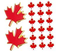 KOMBIUDA 20 Pièces Épingles Broches Dérable Badges Décoratifs Chics pour Vêtements Accessoires pour Usage et