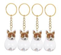 KOMBIUDA 4 Pièces Porte Clés Capsule Commémorative Transparent Boîte de Rangement Portable pour Poils de Chien Design Élégant pour Souvenir Animal de Compagnie