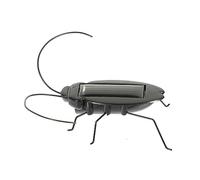 KOMBIUDA cafard Solaire educatif d'eveil éducatif sur Les Insectes pédagogique Mini Jouets robotiques Solaire pour Enfants drôle et délicat PVC Black