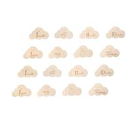 KOMBIUDA Disques Photo Mensuels Forme Cartes Double Face Naissance Accessoires Photographie Bébé Grossesse Annonce Naissance