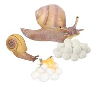 KOMBIUDA Jouets Éducatifs Cycle de Croissance Escargot 4 Figurines de Simulation Réalistes pour Garçon et Filles, Modèles Légers et Solide, Décor Pédagogique Interactif pour Apprentissage