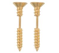 KOMBIUDA Lot de 2 Puces d'Oreilles Spirale en Acier Inoxydable Doré Boucles d'Oreilles Unisexes pour Piercing Hélix Design à Visser Confortable et Maintien Sécurisé Bijoux Punk pour