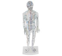 KOMBIUDA Modèle Acupuncture Corps Humain Blanc Mannequin Éducatif Méridiens et Points Acupuncture Outil Apprentissage Complet pour Études Médecine Traditionnelle Chinoise