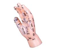 KOMBIUDA Modèle De Main Acupuncture Pour Enseignement Réflexologie Et Pratique Points Acupuncture Clairement Marqués Pour Débutants Et Professionnels