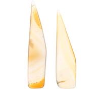 KOMBIUDA Outils en Agate pour Polissage Bijoux Argenté et Or, Couteau à Polir 2 Pièces Marron, Entretien Pratique pour Surface Lisse, pour Bijoux à Polir Plusieurs styles