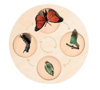 KOMBIUDA Plateau Éducatif Cycle de Vie des Animaux, Pédagogique pour Garçon et Filles Préscolaires, Modèle 4 Sections, Matériel Éducatif Scientifique D’Apprentissage Précoce