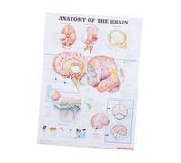 KOMBIUDA Poster Anatomique Cerveau Humain Clair et Facile à Comprendre Outil Pédagogique Pratique pour École et Bureau Affiche Éducative sans Cadre Décoration Murale Scientifique pour