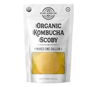 Kombucha Scoby biologique - Culture de Kombucha - Scoby Kombucha