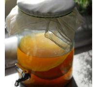Kombuchaorganic - Kit de démarrage pour faire votre propre boisson Kombucha - Grand kit de 5 litres - Certifié biologique par la OF&G - Kombucha Scoby
