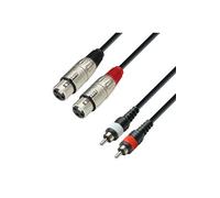Câble 2 XLR femelles 2 RCA mâles 6 m