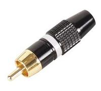 CONECTICPLUS connecteur RCA Male Metal Blanc