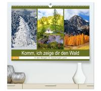 Komm, ich zeige dir den Wald (hochwertiger Premium Wandkalender 2026 DIN A2 quer), Kunstdruck in Hochglanz: Schöne Wälder in den Bergen im Salzburger Land
