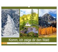 Komm, ich zeige dir den Wald (Wandkalender 2026 DIN A2 quer), CALVENDO Monatskalender: Schöne Wälder in den Bergen im Salzburger Land