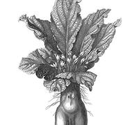 Kommando Himmelfahrt & Negrot,Aerea - Der Mensch ALS Pflanze [Import]