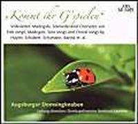 Kommt Ihr G'spielen/Folk Song