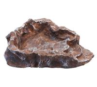 Komodo Abreuvoir pour reptile, Marron, Small